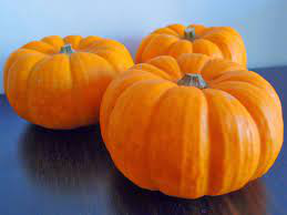pumpkin munchkin .png