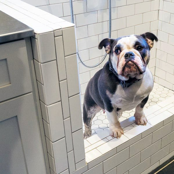 home dog grooming shower ideas.png