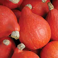 red kuri squash.png